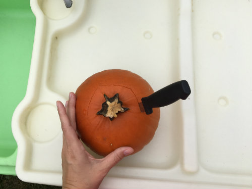 The adult helping with this activity should cut out the top of the pumpkin in a pentagon shape.