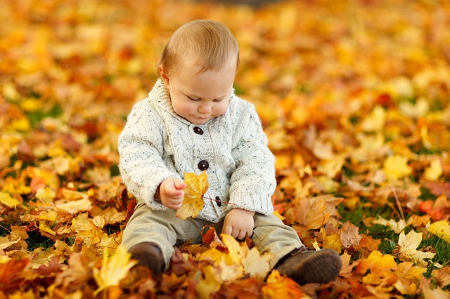 Baby playing in pile of leaves