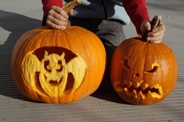 Child showing carved pumpkins