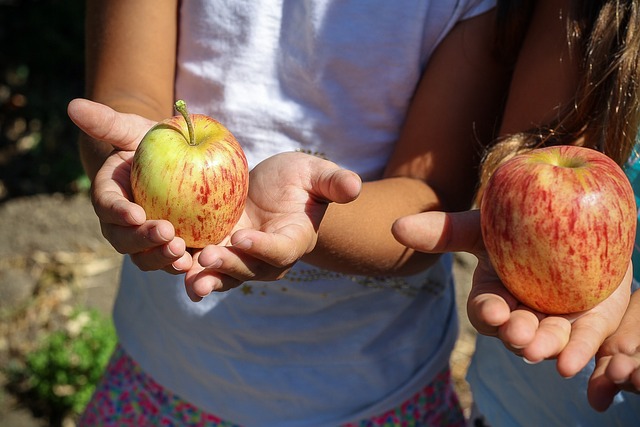 Children apple picking