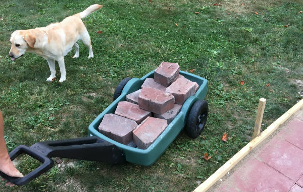 Haul supplies to fire ring location with the Easy Haul Flat Bed Cart