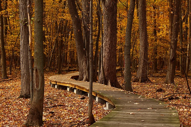 Hiking in the fall