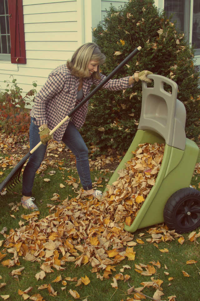 Creating leaf mold for a soil additive