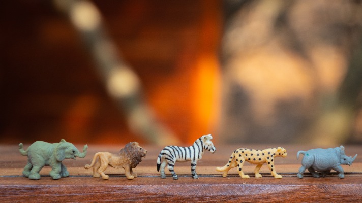 Simplay3's sensory sandbox ideas: a toy elephant, lion, zebra, cheetah, and rino in a line on a table